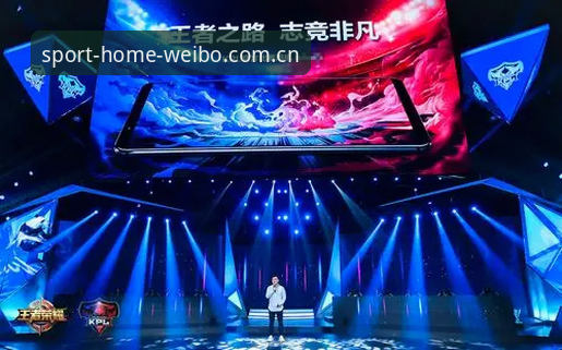 伟博体育官网用数据说话 vs 凭感觉下注：从一名用户的真实体验说起